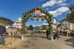 Appenzell, Appenzell Ausserrohden, Autumn, Fall, Herbst, Landwirtschaft, Schweiz, Sennen, Suisse, Switzerland, Tracht, Urnäsch, Viehschau, Wirtschaft, tradition