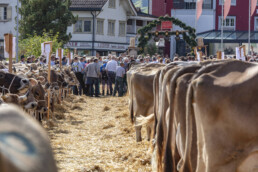 Appenzell, Appenzell Ausserrohden, Autumn, Fall, Herbst, Landwirtschaft, Schweiz, Sennen, Suisse, Switzerland, Tracht, Urnäsch, Viehschau, Wirtschaft, tradition
