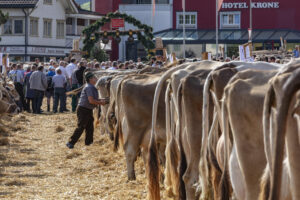 Appenzell, Appenzell Ausserrohden, Autumn, Fall, Herbst, Landwirtschaft, Schweiz, Sennen, Suisse, Switzerland, Tracht, Urnäsch, Viehschau, Wirtschaft, tradition