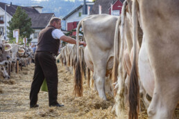 Appenzell, Appenzell Ausserrohden, Autumn, Fall, Herbst, Landwirtschaft, Schweiz, Sennen, Suisse, Switzerland, Tracht, Urnäsch, Viehschau, Wirtschaft, tradition