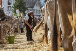 Appenzell, Appenzell Ausserrohden, Autumn, Fall, Herbst, Landwirtschaft, Schweiz, Sennen, Suisse, Switzerland, Tracht, Urnäsch, Viehschau, Wirtschaft, tradition