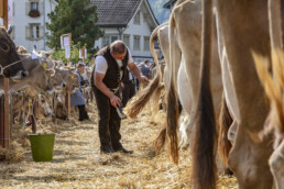 Appenzell, Appenzell Ausserrohden, Autumn, Fall, Herbst, Landwirtschaft, Schweiz, Sennen, Suisse, Switzerland, Tracht, Urnäsch, Viehschau, Wirtschaft, tradition