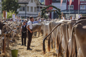 Appenzell, Appenzell Ausserrohden, Autumn, Fall, Herbst, Landwirtschaft, Schweiz, Sennen, Suisse, Switzerland, Tracht, Urnäsch, Viehschau, Wirtschaft, tradition