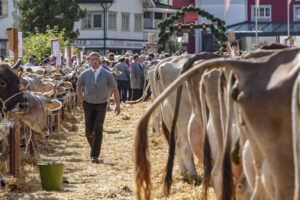 Appenzell, Appenzell Ausserrohden, Autumn, Fall, Herbst, Landwirtschaft, Schweiz, Sennen, Suisse, Switzerland, Tracht, Urnäsch, Viehschau, Wirtschaft, tradition