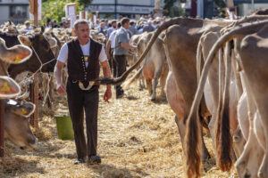 Appenzell, Appenzell Ausserrohden, Autumn, Fall, Herbst, Landwirtschaft, Schweiz, Sennen, Suisse, Switzerland, Tracht, Urnäsch, Viehschau, Wirtschaft, tradition