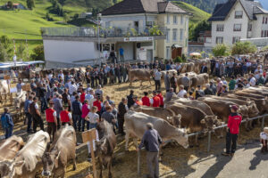 Appenzell, Appenzell Ausserrohden, Autumn, Fall, Herbst, Landwirtschaft, Schweiz, Sennen, Suisse, Switzerland, Tracht, Urnäsch, Viehschau, Wirtschaft, tradition