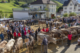 Appenzell, Appenzell Ausserrohden, Autumn, Fall, Herbst, Landwirtschaft, Schweiz, Sennen, Suisse, Switzerland, Tracht, Urnäsch, Viehschau, Wirtschaft, tradition