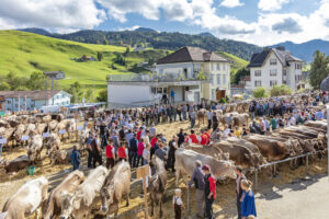 Appenzell, Appenzell Ausserrohden, Autumn, Fall, Herbst, Landwirtschaft, Schweiz, Sennen, Suisse, Switzerland, Tracht, Urnäsch, Viehschau, Wirtschaft, tradition