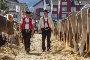 Appenzell, Appenzell Ausserrohden, Autumn, Fall, Herbst, Landwirtschaft, Schweiz, Sennen, Suisse, Switzerland, Tracht, Urnäsch, Viehschau, Wirtschaft, tradition