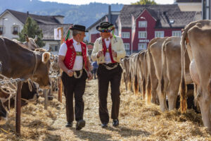 Appenzell, Appenzell Ausserrohden, Autumn, Fall, Herbst, Landwirtschaft, Schweiz, Sennen, Suisse, Switzerland, Tracht, Urnäsch, Viehschau, Wirtschaft, tradition