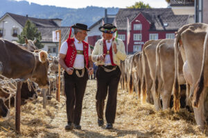 Appenzell, Appenzell Ausserrohden, Autumn, Fall, Herbst, Landwirtschaft, Schweiz, Sennen, Suisse, Switzerland, Tracht, Urnäsch, Viehschau, Wirtschaft, tradition