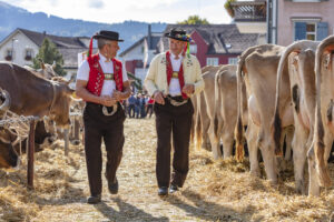 Appenzell, Appenzell Ausserrohden, Autumn, Fall, Herbst, Landwirtschaft, Schweiz, Sennen, Suisse, Switzerland, Tracht, Urnäsch, Viehschau, Wirtschaft, tradition