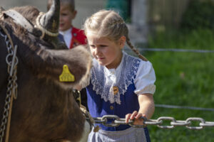 Appenzell, Appenzell Ausserrohden, Autumn, Fall, Herbst, Landwirtschaft, Schweiz, Sennen, Suisse, Switzerland, Tracht, Urnäsch, Viehschau, Wirtschaft, tradition