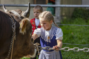 Appenzell, Appenzell Ausserrohden, Autumn, Fall, Herbst, Landwirtschaft, Schweiz, Sennen, Suisse, Switzerland, Tracht, Urnäsch, Viehschau, Wirtschaft, tradition
