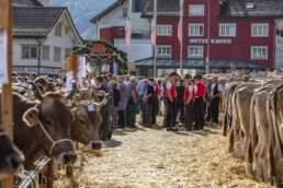 Appenzell, Appenzell Ausserrohden, Autumn, Fall, Herbst, Landwirtschaft, Schweiz, Sennen, Suisse, Switzerland, Tracht, Urnäsch, Viehschau, Wirtschaft, tradition
