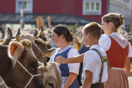 Appenzell, Appenzell Ausserrohden, Autumn, Fall, Herbst, Landwirtschaft, Schweiz, Sennen, Suisse, Switzerland, Tracht, Urnäsch, Viehschau, Wirtschaft, tradition
