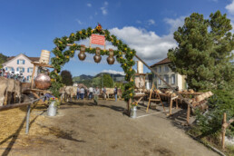 Appenzell, Appenzell Ausserrohden, Autumn, Fall, Herbst, Landwirtschaft, Schweiz, Sennen, Suisse, Switzerland, Tracht, Urnäsch, Viehschau, Wirtschaft, tradition