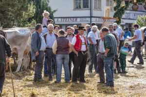 Appenzell, Appenzell Ausserrohden, Autumn, Fall, Herbst, Landwirtschaft, Schweiz, Sennen, Suisse, Switzerland, Tracht, Urnäsch, Viehschau, Wirtschaft, tradition