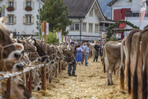 Appenzell, Appenzell Ausserrohden, Autumn, Fall, Herbst, Landwirtschaft, Schweiz, Sennen, Suisse, Switzerland, Tracht, Urnäsch, Viehschau, Wirtschaft, tradition