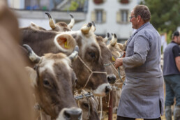 Appenzell, Appenzell Ausserrohden, Autumn, Fall, Herbst, Landwirtschaft, Schweiz, Sennen, Suisse, Switzerland, Tracht, Urnäsch, Viehschau, Wirtschaft, tradition