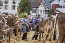 Appenzell, Appenzell Ausserrohden, Autumn, Fall, Herbst, Landwirtschaft, Schweiz, Sennen, Suisse, Switzerland, Tracht, Urnäsch, Viehschau, Wirtschaft, tradition