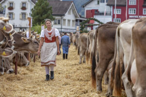 Appenzell, Appenzell Ausserrohden, Autumn, Fall, Herbst, Landwirtschaft, Schweiz, Sennen, Suisse, Switzerland, Tracht, Urnäsch, Viehschau, Wirtschaft, tradition