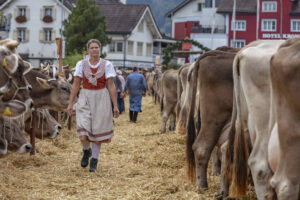 Appenzell, Appenzell Ausserrohden, Autumn, Fall, Herbst, Landwirtschaft, Schweiz, Sennen, Suisse, Switzerland, Tracht, Urnäsch, Viehschau, Wirtschaft, tradition