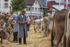 Appenzell, Appenzell Ausserrohden, Autumn, Fall, Herbst, Landwirtschaft, Schweiz, Sennen, Suisse, Switzerland, Tracht, Urnäsch, Viehschau, Wirtschaft, tradition