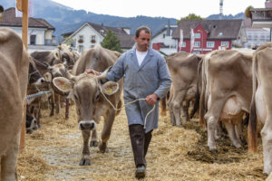 Appenzell, Appenzell Ausserrohden, Autumn, Fall, Herbst, Landwirtschaft, Schweiz, Sennen, Suisse, Switzerland, Tracht, Urnäsch, Viehschau, Wirtschaft, tradition