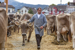 Appenzell, Appenzell Ausserrohden, Autumn, Fall, Herbst, Landwirtschaft, Schweiz, Sennen, Suisse, Switzerland, Tracht, Urnäsch, Viehschau, Wirtschaft, tradition