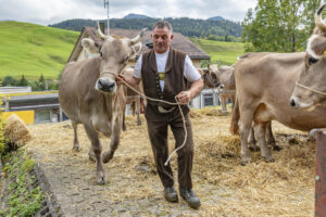Appenzell, Appenzell Ausserrohden, Autumn, Fall, Herbst, Landwirtschaft, Schweiz, Sennen, Suisse, Switzerland, Tracht, Urnäsch, Viehschau, Wirtschaft, tradition