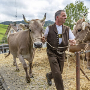 Appenzell, Appenzell Ausserrohden, Autumn, Fall, Herbst, Landwirtschaft, Schweiz, Sennen, Suisse, Switzerland, Tracht, Urnäsch, Viehschau, Wirtschaft, tradition