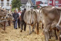 Appenzell, Appenzell Ausserrohden, Autumn, Fall, Herbst, Landwirtschaft, Schweiz, Sennen, Suisse, Switzerland, Tracht, Urnäsch, Viehschau, Wirtschaft, tradition