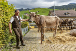 Appenzell, Appenzell Ausserrohden, Autumn, Fall, Herbst, Landwirtschaft, Schweiz, Sennen, Suisse, Switzerland, Tracht, Urnäsch, Viehschau, Wirtschaft, tradition