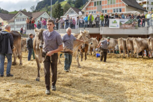 Appenzell, Appenzell Ausserrohden, Autumn, Fall, Herbst, Landwirtschaft, Schweiz, Sennen, Suisse, Switzerland, Tracht, Urnäsch, Viehschau, Wirtschaft, tradition