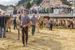 Appenzell, Appenzell Ausserrohden, Autumn, Fall, Herbst, Landwirtschaft, Schweiz, Sennen, Suisse, Switzerland, Tracht, Urnäsch, Viehschau, Wirtschaft, tradition