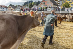 Appenzell, Appenzell Ausserrohden, Autumn, Fall, Herbst, Landwirtschaft, Schweiz, Sennen, Suisse, Switzerland, Tracht, Urnäsch, Viehschau, Wirtschaft, tradition