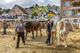 Appenzell, Appenzell Ausserrohden, Autumn, Fall, Herbst, Landwirtschaft, Schweiz, Sennen, Suisse, Switzerland, Tracht, Urnäsch, Viehschau, Wirtschaft, tradition