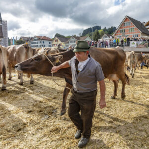 Appenzell, Appenzell Ausserrohden, Autumn, Fall, Herbst, Landwirtschaft, Schweiz, Sennen, Suisse, Switzerland, Tracht, Urnäsch, Viehschau, Wirtschaft, tradition