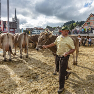 Appenzell, Appenzell Ausserrohden, Autumn, Fall, Herbst, Landwirtschaft, Schweiz, Sennen, Suisse, Switzerland, Tracht, Urnäsch, Viehschau, Wirtschaft, tradition