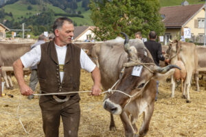 Appenzell, Appenzell Ausserrohden, Autumn, Fall, Herbst, Landwirtschaft, Schweiz, Sennen, Suisse, Switzerland, Tracht, Urnäsch, Viehschau, Wirtschaft, tradition