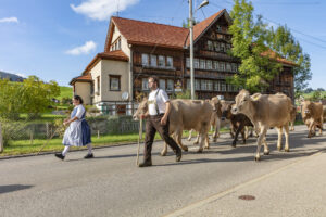 Appenzell, Appenzell Ausserrohden, Autumn, Fall, Herbst, Landwirtschaft, Schweiz, Sennen, Suisse, Switzerland, Tracht, Urnäsch, Viehschau, Wirtschaft, tradition