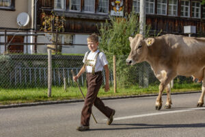 Appenzell, Appenzell Ausserrohden, Autumn, Fall, Herbst, Landwirtschaft, Schweiz, Sennen, Suisse, Switzerland, Tracht, Urnäsch, Viehschau, Wirtschaft, tradition