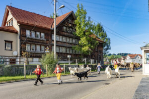Appenzell, Appenzell Ausserrohden, Autumn, Fall, Herbst, Landwirtschaft, Schweiz, Sennen, Suisse, Switzerland, Tracht, Urnäsch, Viehschau, Wirtschaft, tradition