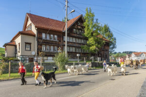 Appenzell, Appenzell Ausserrohden, Autumn, Fall, Herbst, Landwirtschaft, Schweiz, Sennen, Suisse, Switzerland, Tracht, Urnäsch, Viehschau, Wirtschaft, tradition
