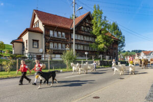 Appenzell, Appenzell Ausserrohden, Autumn, Fall, Herbst, Landwirtschaft, Schweiz, Sennen, Suisse, Switzerland, Tracht, Urnäsch, Viehschau, Wirtschaft, tradition