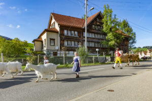 Appenzell, Appenzell Ausserrohden, Autumn, Fall, Herbst, Landwirtschaft, Schweiz, Sennen, Suisse, Switzerland, Tracht, Urnäsch, Viehschau, Wirtschaft, tradition