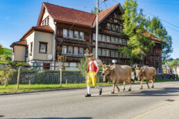 Appenzell, Appenzell Ausserrohden, Autumn, Fall, Herbst, Landwirtschaft, Schweiz, Sennen, Suisse, Switzerland, Tracht, Urnäsch, Viehschau, Wirtschaft, tradition