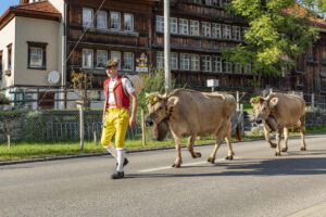 Appenzell, Appenzell Ausserrohden, Autumn, Fall, Herbst, Landwirtschaft, Schweiz, Sennen, Suisse, Switzerland, Tracht, Urnäsch, Viehschau, Wirtschaft, tradition