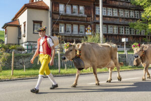 Appenzell, Appenzell Ausserrohden, Autumn, Fall, Herbst, Landwirtschaft, Schweiz, Sennen, Suisse, Switzerland, Tracht, Urnäsch, Viehschau, Wirtschaft, tradition
